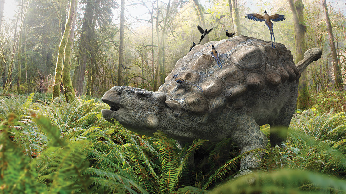 Ankylosaur Attack