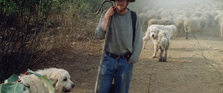 Portrait of a Young Shepherd