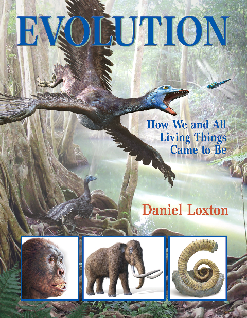 Evolution_cover_large